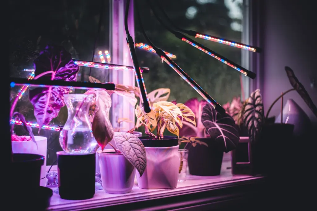 8th Grade Science Fair Project Ideas: 12 Easy, High-Impact Experiments for 2026