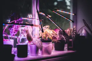 8th grade science fair project ideas